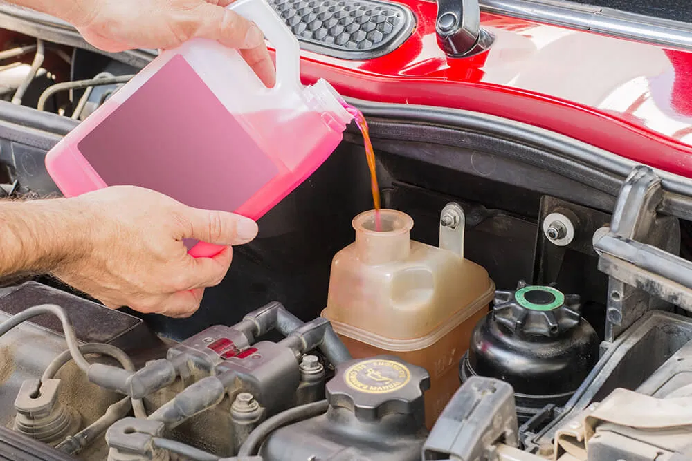 What are the Different Oil Types?